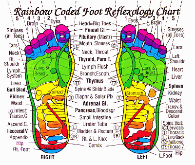 A Reflexology Foot Chart