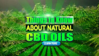 Image with the etx: "Things to know about natural CBD Oils".