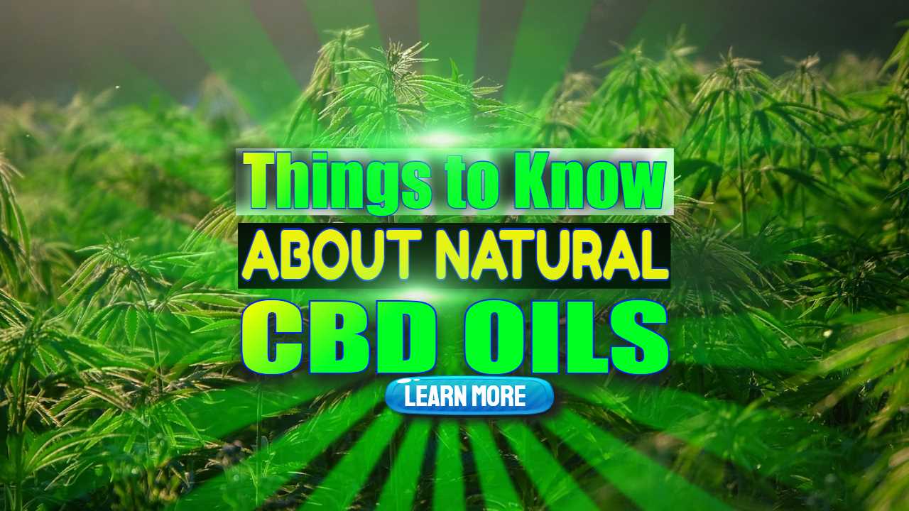 Image with the etx: "Things to know about natural CBD Oils".