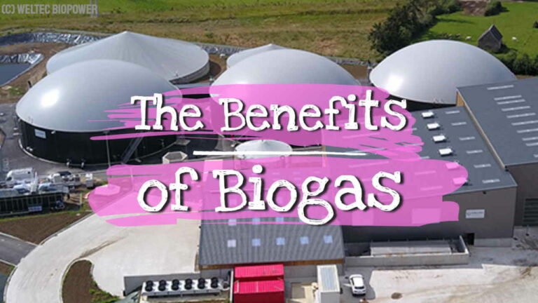 The Benefits Of Biogas Recycling Organic Waste Into Renewable Energy